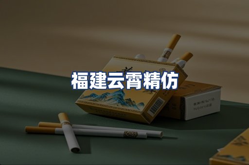 福建云霄精仿